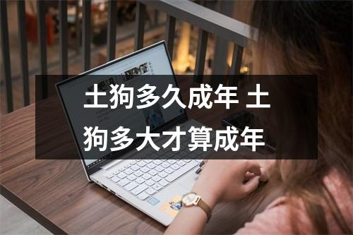 土狗多久成年 土狗多大才算成年