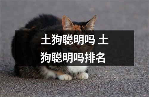 土狗聪明吗 土狗聪明吗排名