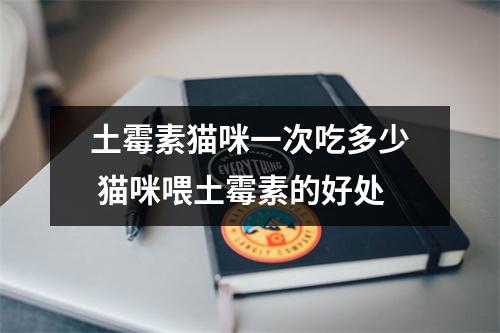 土霉素猫咪一次吃多少 猫咪喂土霉素的好处