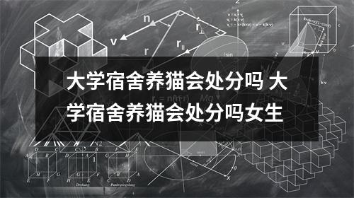 大学宿舍养猫会处分吗 大学宿舍养猫会处分吗女生