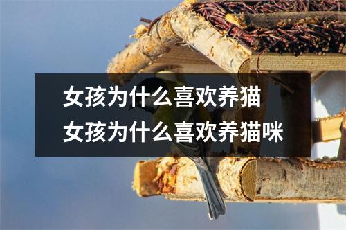 女孩为什么喜欢养猫 女孩为什么喜欢养猫咪
