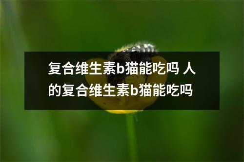 复合维生素b猫能吃吗 人的复合维生素b猫能吃吗