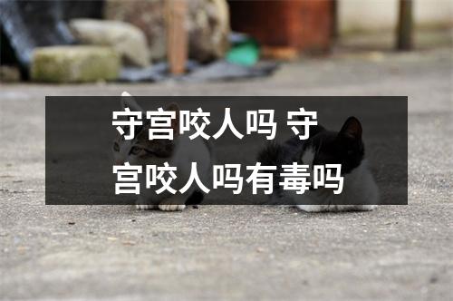 守宫咬人吗 守宫咬人吗有毒吗