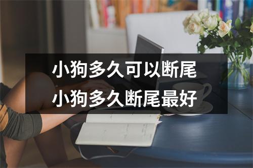 小狗多久可以断尾 小狗多久断尾最好