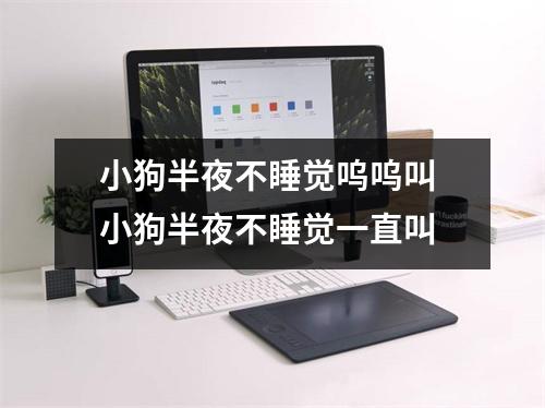 小狗半夜不睡觉呜呜叫 小狗半夜不睡觉一直叫