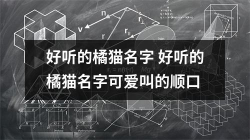 好听的橘猫名字 好听的橘猫名字可爱叫的顺口