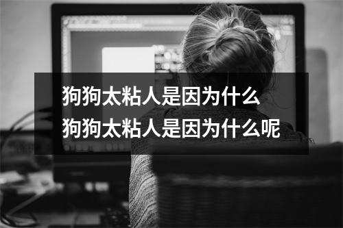 狗狗太粘人是因为什么 狗狗太粘人是因为什么呢