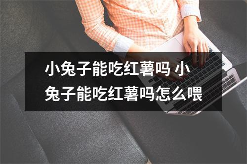 小兔子能吃红薯吗 小兔子能吃红薯吗怎么喂