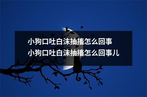 小狗口吐白沫抽搐怎么回事 小狗口吐白沫抽搐怎么回事儿