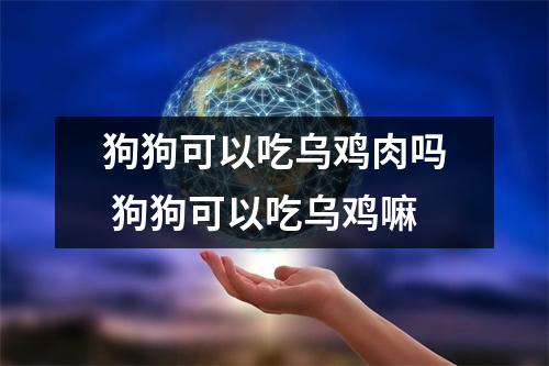 狗狗可以吃乌鸡肉吗 狗狗可以吃乌鸡嘛