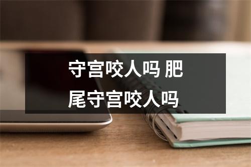 守宫咬人吗 肥尾守宫咬人吗