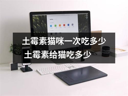 土霉素猫咪一次吃多少 土霉素给猫吃多少