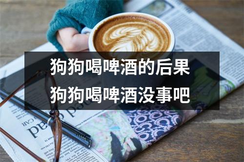 狗狗喝啤酒的后果 狗狗喝啤酒没事吧