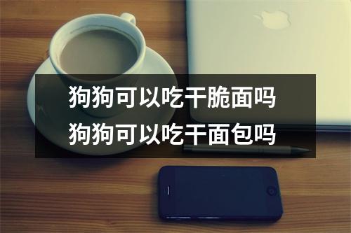 狗狗可以吃干脆面吗 狗狗可以吃干面包吗