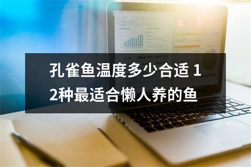 孔雀鱼温度多少合适 12种最适合懒人养的鱼