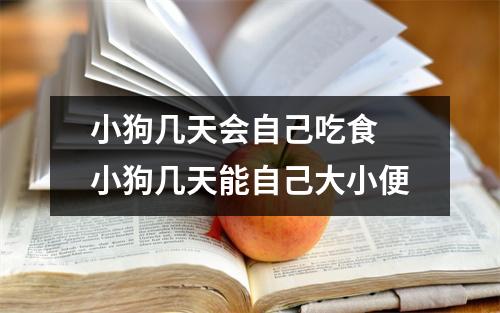 小狗几天会自己吃食 小狗几天能自己大小便