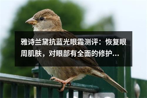 雅诗兰黛抗蓝光眼霜测评：恢复眼周肌肤，对眼部有全面的修护 雅诗兰黛抗蓝光眼霜怎么用视频