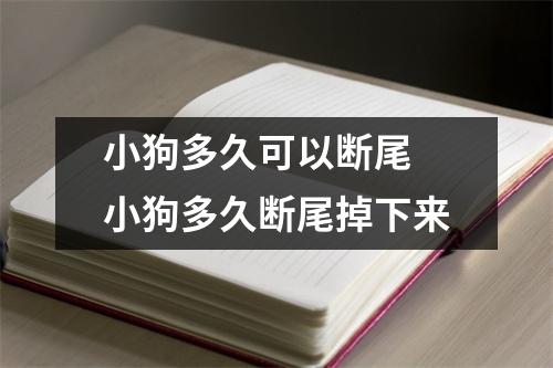 小狗多久可以断尾 小狗多久断尾掉下来