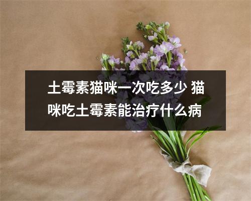 土霉素猫咪一次吃多少 猫咪吃土霉素能治疗什么病