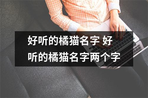 好听的橘猫名字 好听的橘猫名字两个字