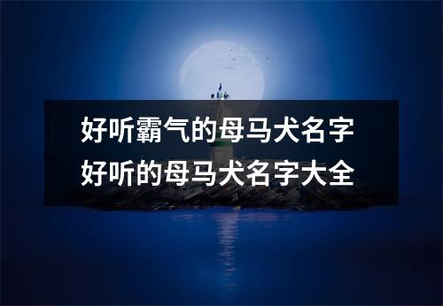 好听霸气的母马犬名字 好听的母马犬名字大全
