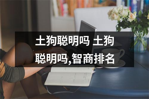 土狗聪明吗 土狗聪明吗,智商排名