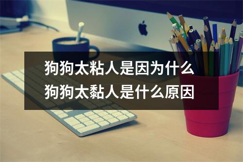 狗狗太粘人是因为什么 狗狗太黏人是什么原因