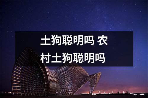 土狗聪明吗 农村土狗聪明吗