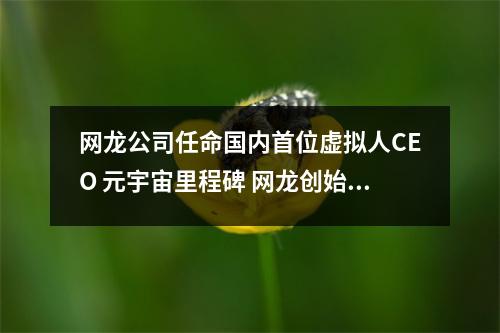 网龙公司任命国内首位虚拟人CEO 元宇宙里程碑 网龙创始人是谁