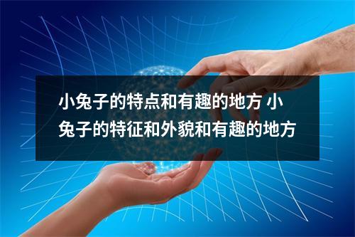 小兔子的特点和有趣的地方 小兔子的特征和外貌和有趣的地方