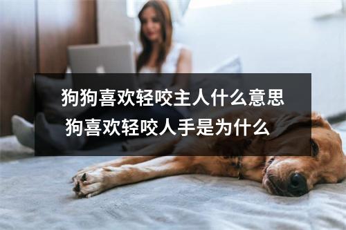狗狗喜欢轻咬主人什么意思 狗喜欢轻咬人手是为什么