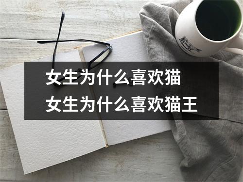 女生为什么喜欢猫 女生为什么喜欢猫王
