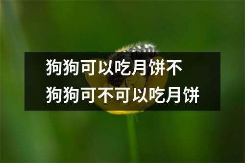 狗狗可以吃月饼不 狗狗可不可以吃月饼