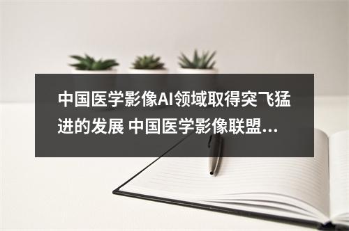 中国医学影像AI领域取得突飞猛进的发展 中国医学影像联盟网站