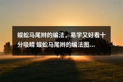 蜈蚣马尾辫的编法，易学又好看十分吸睛 蜈蚣马尾辫的编法图解步骤