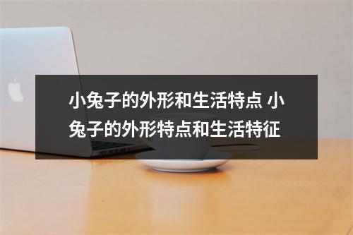 小兔子的外形和生活特点 小兔子的外形特点和生活特征