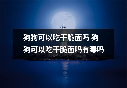 狗狗可以吃干脆面吗 狗狗可以吃干脆面吗有毒吗