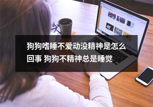 狗狗嗜睡不爱动没精神是怎么回事 狗狗不精神总是睡觉