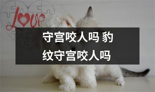 守宫咬人吗 豹纹守宫咬人吗