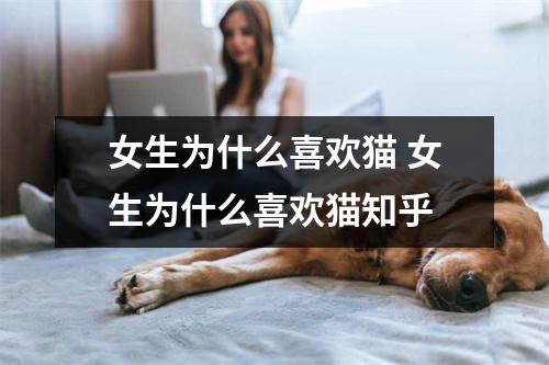 女生为什么喜欢猫 女生为什么喜欢猫知乎