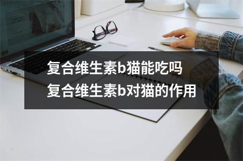 复合维生素b猫能吃吗 复合维生素b对猫的作用