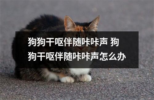 狗狗干呕伴随咔咔声 狗狗干呕伴随咔咔声怎么办