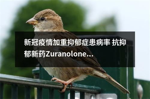 新冠疫情加重抑郁症患病率 抗抑郁新药Zuranolone带来希望 疫情期间得抑郁症