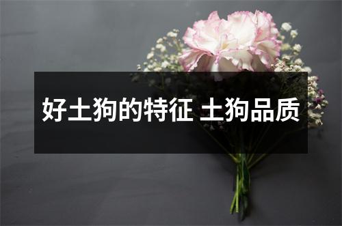 好土狗的特征 土狗品质
