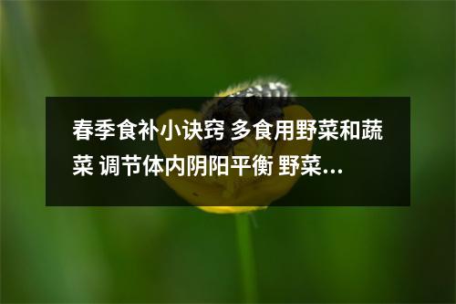 春季食补小诀窍 多食用野菜和蔬菜 调节体内阴阳平衡 野菜吃什么好