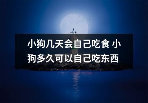 小狗几天会自己吃食 小狗多久可以自己吃东西