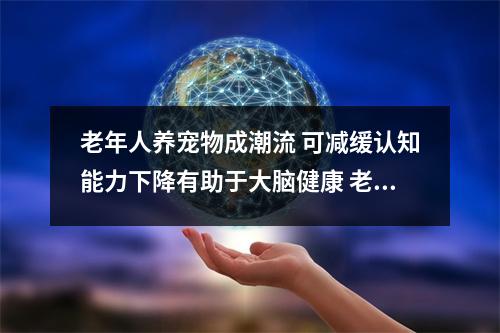 老年人养宠物成潮流 可减缓认知能力下降有助于大脑健康 老年人养狗狗有什么好处