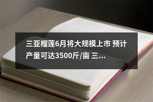 三亚榴莲6月将大规模上市 预计产量可达3500斤/亩 三亚有榴莲基地吗