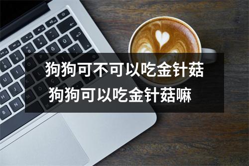 狗狗可不可以吃金针菇 狗狗可以吃金针菇嘛