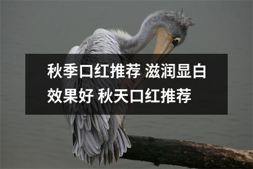 秋季口红推荐 滋润显白效果好 秋天口红推荐